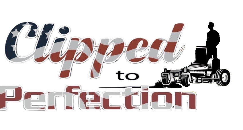 Clipped to Perfection